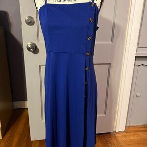 Blue Button-Down Sundress